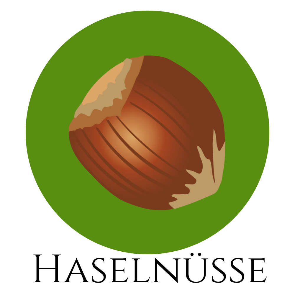 Icon einer Haselnuss