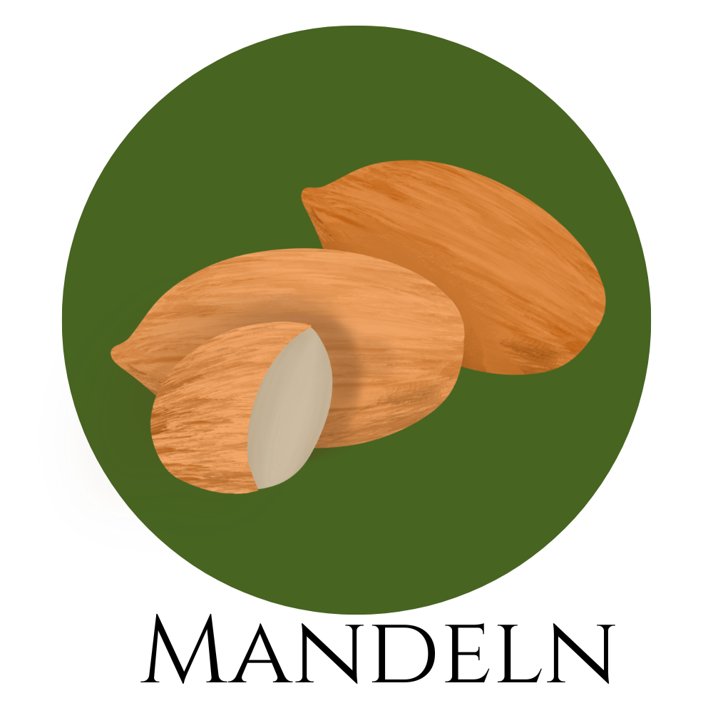 Illustration einer Mandel mit Schale und Kern