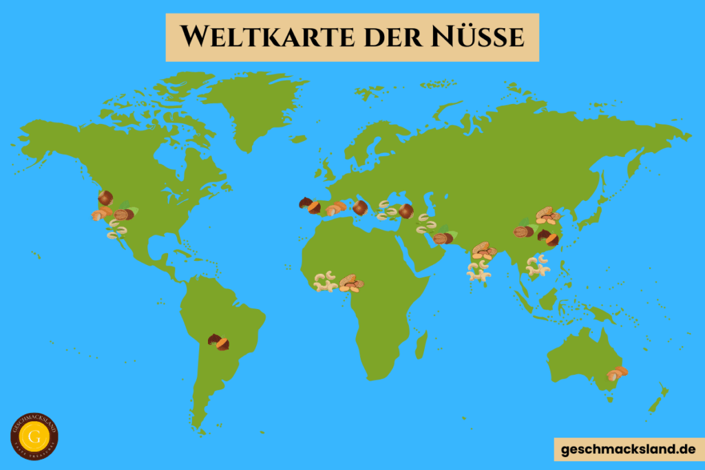 Weltkarte der Nüsse mit den wichtigsten Produktionsländern von Mandeln, Haselnüssen, Walnüssen, Cashews, Pistazien, etc...