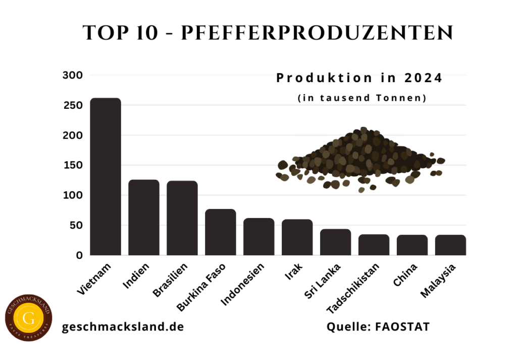 Top 10 Pfefferproduzenten weltweit mit Produktionsmengen in Tausend Tonnen, von Vietnam über Brasilien bis Tadschikistan.