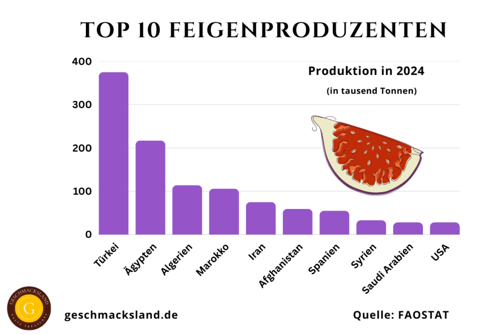 Diagramm der Top 10 Feigenproduzenten weltweit mit Produktionsmengen in tausend Tonnen, angeführt von der Türkei.