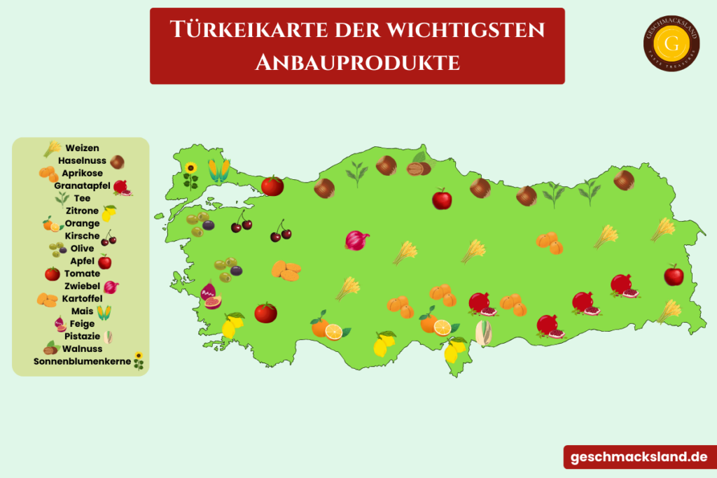 Karte der Türkei mit den wichtigsten landwirtschaftlichen Anbauprodukten nach Regionen, darunter Haselnüsse, Weizen, Zitrusfrüchte und Aprikosen