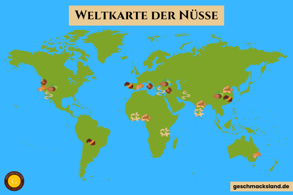 Weltkarte der Nüsse mit den wichtigsten Produktionsländern von Mandeln, Haselnüssen, Walnüssen, Cashews, Pistazien, etc...