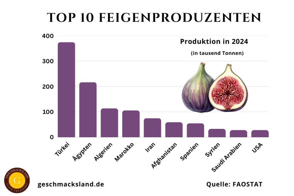 Diagramm der Top 10 Feigenproduzenten weltweit mit Produktionsmengen in tausend Tonnen, angeführt von der Türkei.